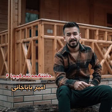 امیر باباجانی دلتنگمه تنه کیجا ۲